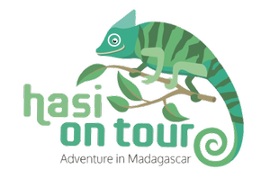 Hasi on Tour