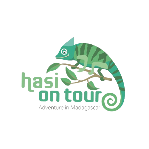 Hasi on Tour